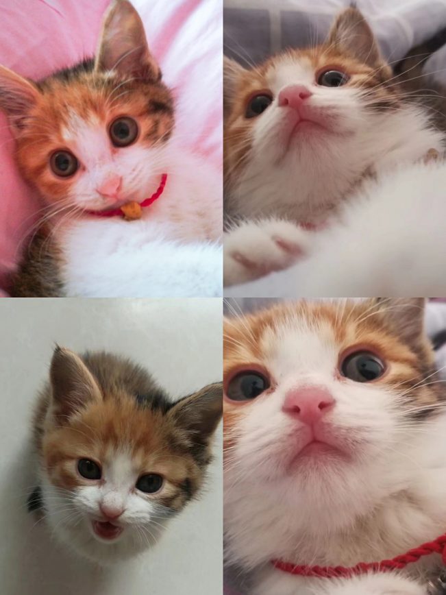 我想十七了❤️