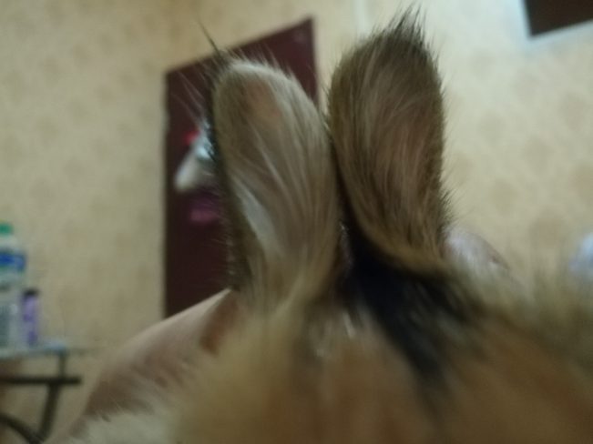 我想十七了❤️