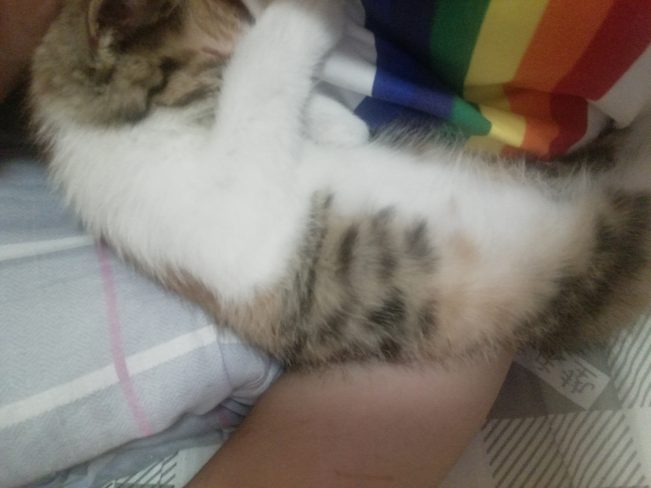 我想十七了❤️