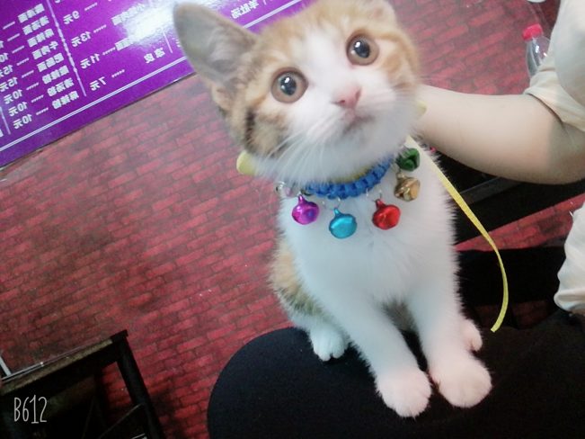 我想十七了❤️