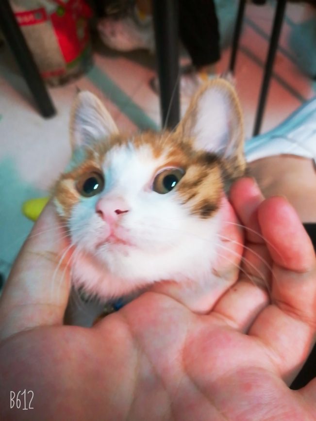 我想十七了❤️