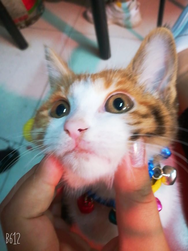 我想十七了❤️