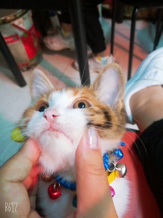 我想十七了❤️