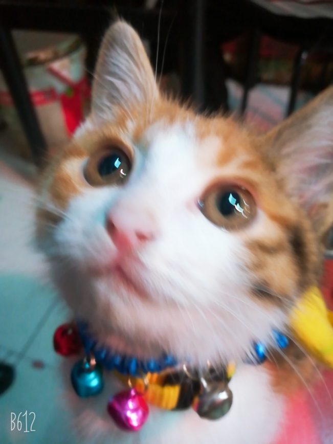 我想十七了❤️