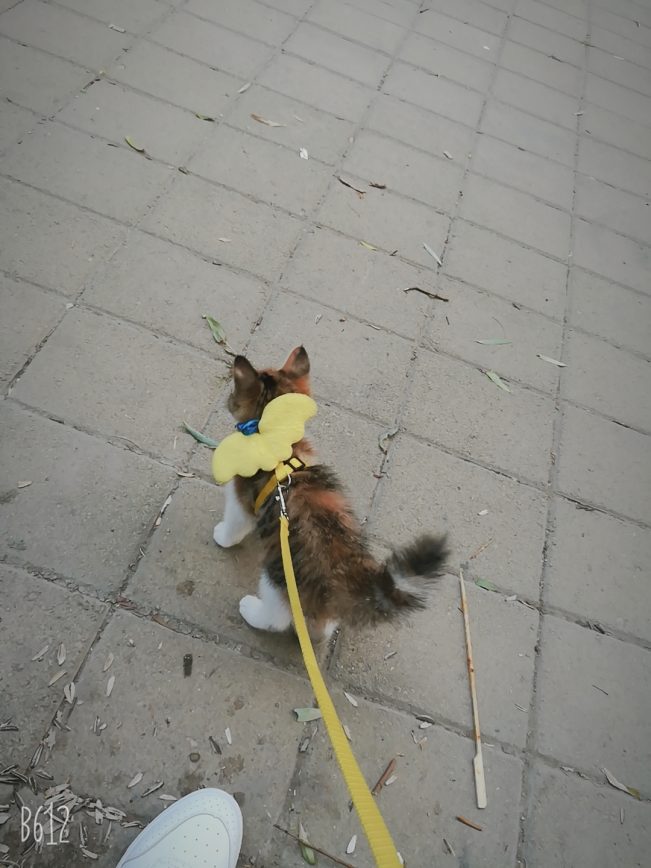 我想十七了❤️