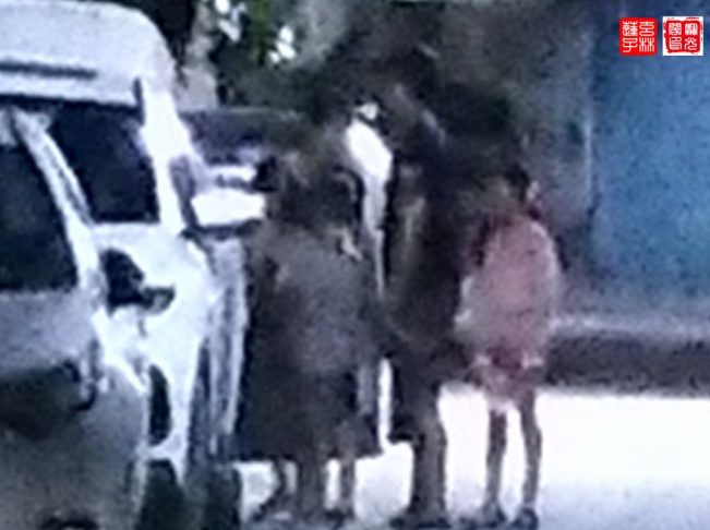 瞧这“一家子”