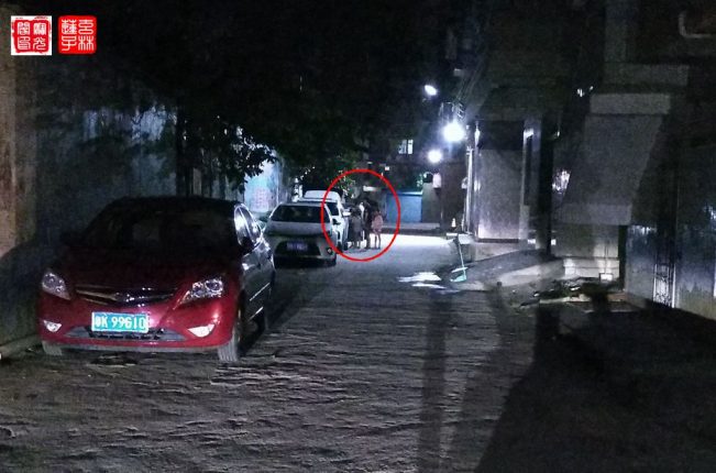 瞧这“一家子”