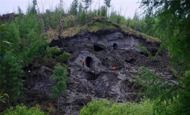 西伯利亚“挖尸人”,挖出来的95%都被销往中国!