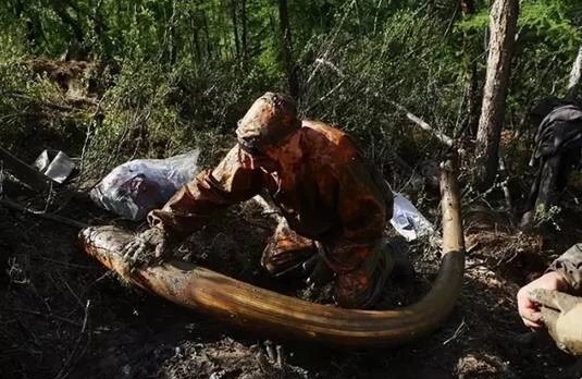 西伯利亚“挖尸人”,挖出来的95%都被销往中国!