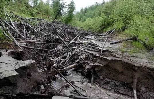 西伯利亚“挖尸人”,挖出来的95%都被销往中国!