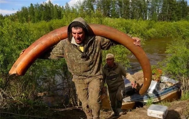 西伯利亚“挖尸人”,挖出来的95%都被销往中国!