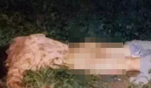 《变态色魔郭龙海:6年奸杀15名妇女和少女》聊聊全球那些可怕的大案要案