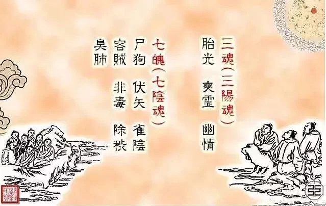 人的三魂七魄是什么?