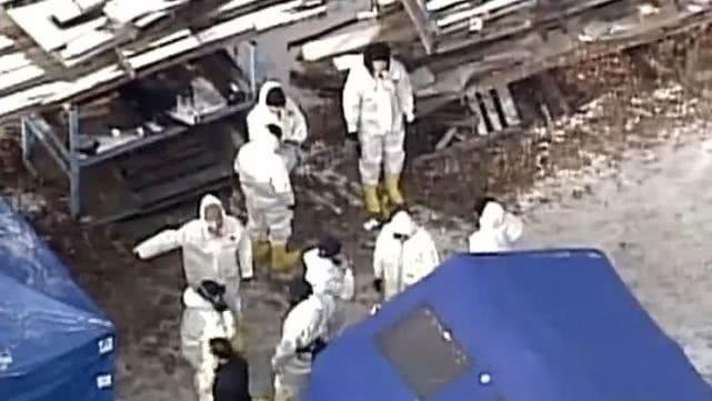 现实版人肉铺，女头缝在男人身上......