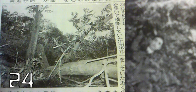 全球最邪门的25张照片,够胆进来看看!