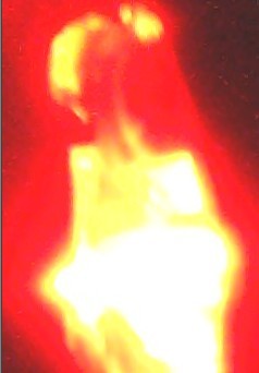 只能仰望星空,第4类外星接触故事