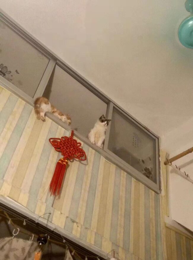 那栋很邪的房子……