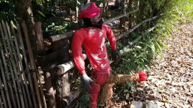 泰国某村寡妇灵作祟,村民自制特殊稻草人应对!