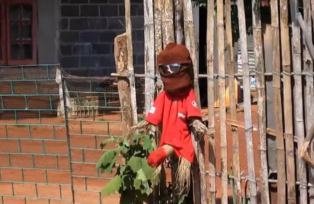 泰国某村寡妇灵作祟,村民自制特殊稻草人应对!