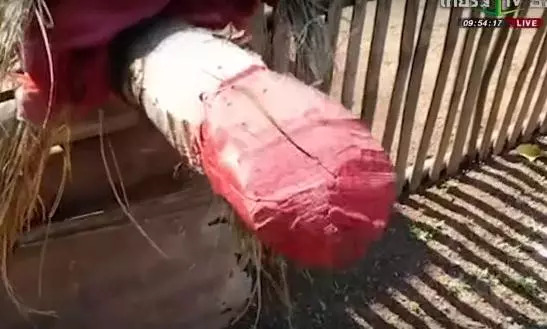 泰国某村寡妇灵作祟,村民自制特殊稻草人应对!