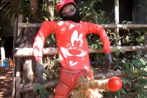 泰国某村寡妇灵作祟,村民自制特殊稻草人应对!