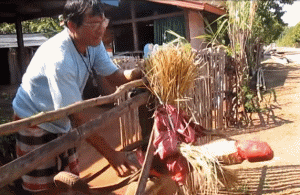泰国某村寡妇灵作祟,村民自制特殊稻草人应对!