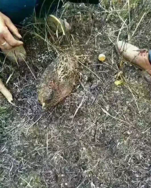 一些网友亲历的故事,看完不禁让人背脊发凉...