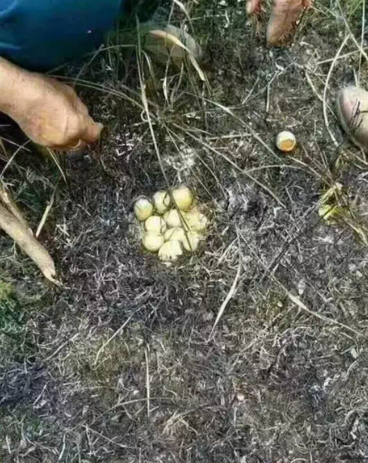 一些网友亲历的故事,看完不禁让人背脊发凉...