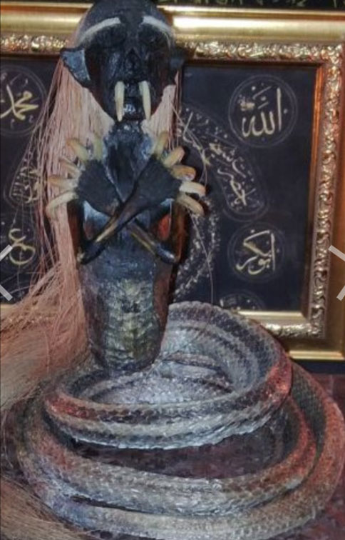 猫十七:视频里的可乐是古曼童在喝吗?