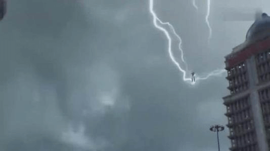 猫十七:上海陆家嘴渡劫事件