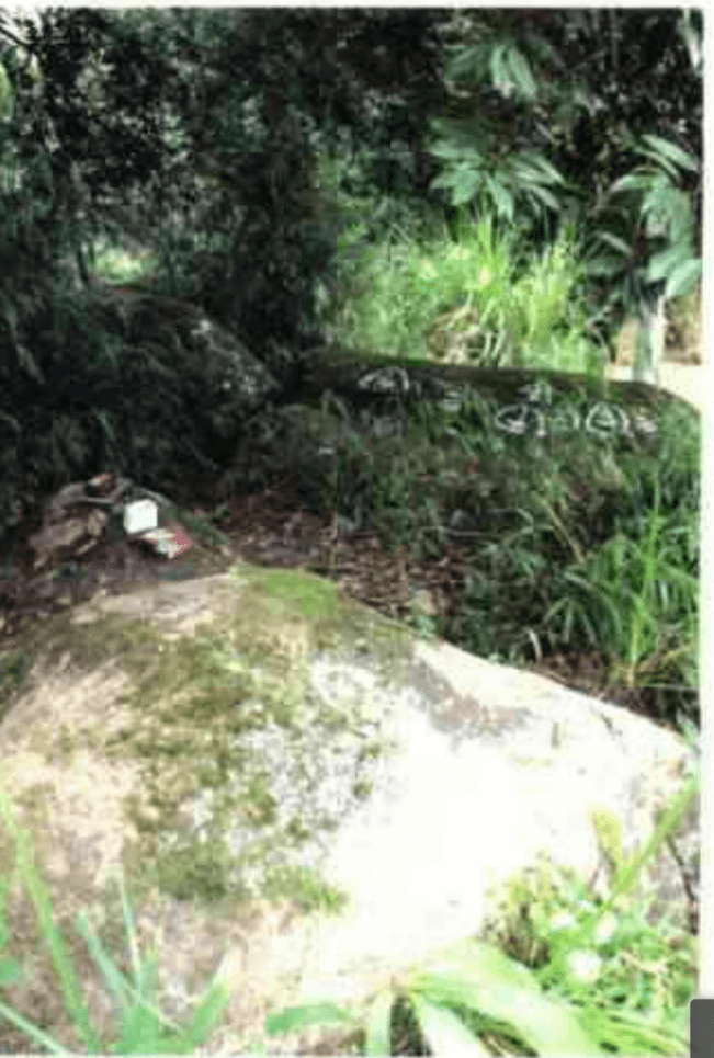 中了魔咒？600多年来未解