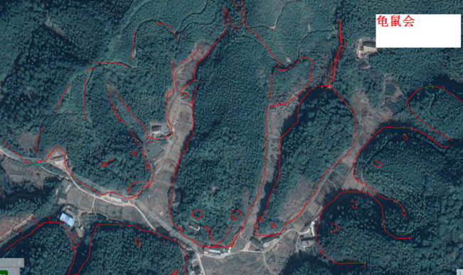 中了魔咒？600多年来未解