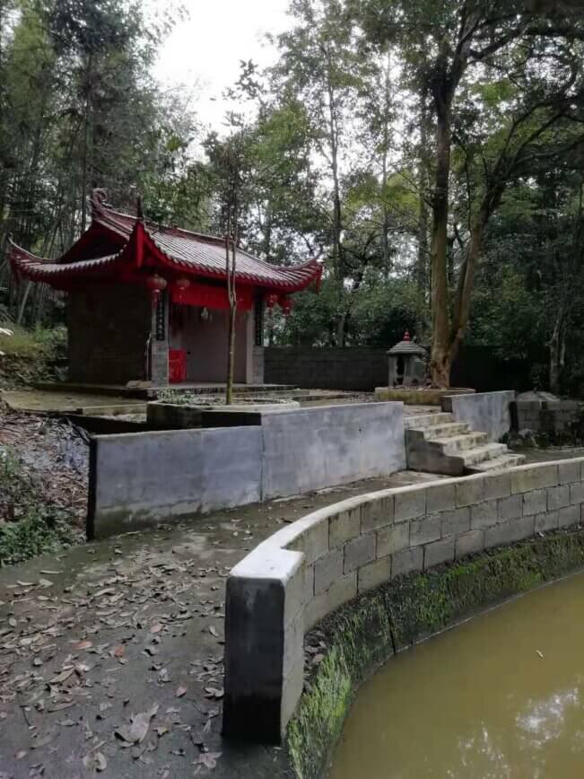 中了魔咒？600多年来未解