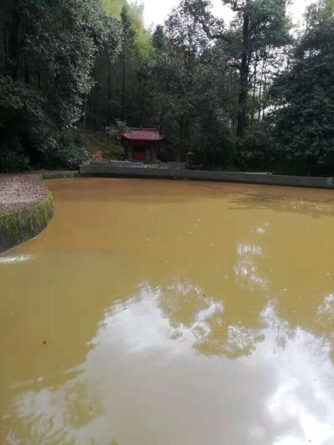 中了魔咒？600多年来未解