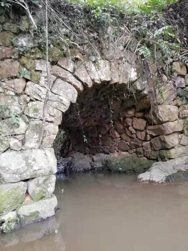 中了魔咒？600多年来未解