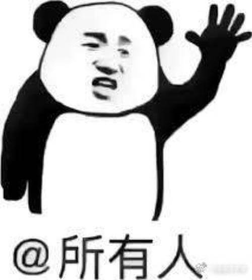 猫十七：前世今生话题