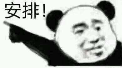 猫十七：前世今生话题