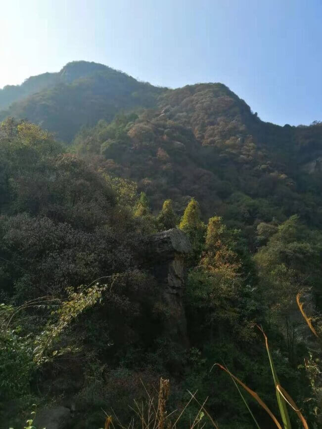 麻烦进来给点建议!