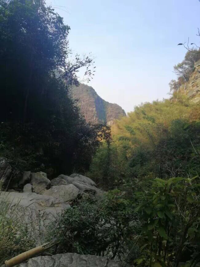 麻烦进来给点建议!