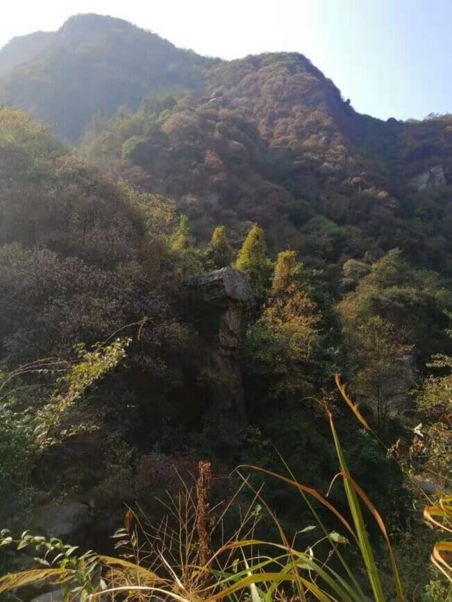 麻烦进来给点建议!