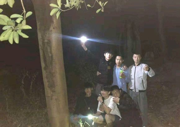 猫十七：背后那是啥？