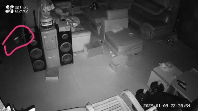 监控里出现漂游的光点是什么？