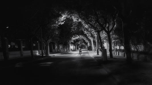 公路诡事之孤独的夜行者