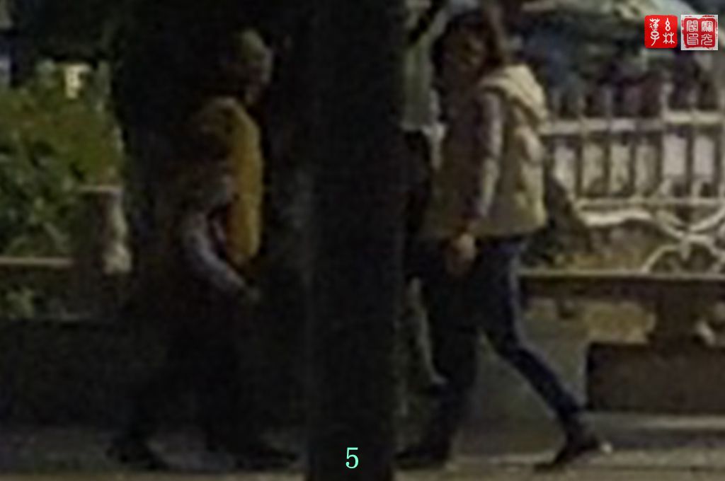 小公园灵物(二)