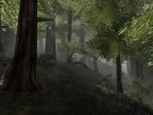 真实经历——一家三口死于非命凶手竟是一棵树?