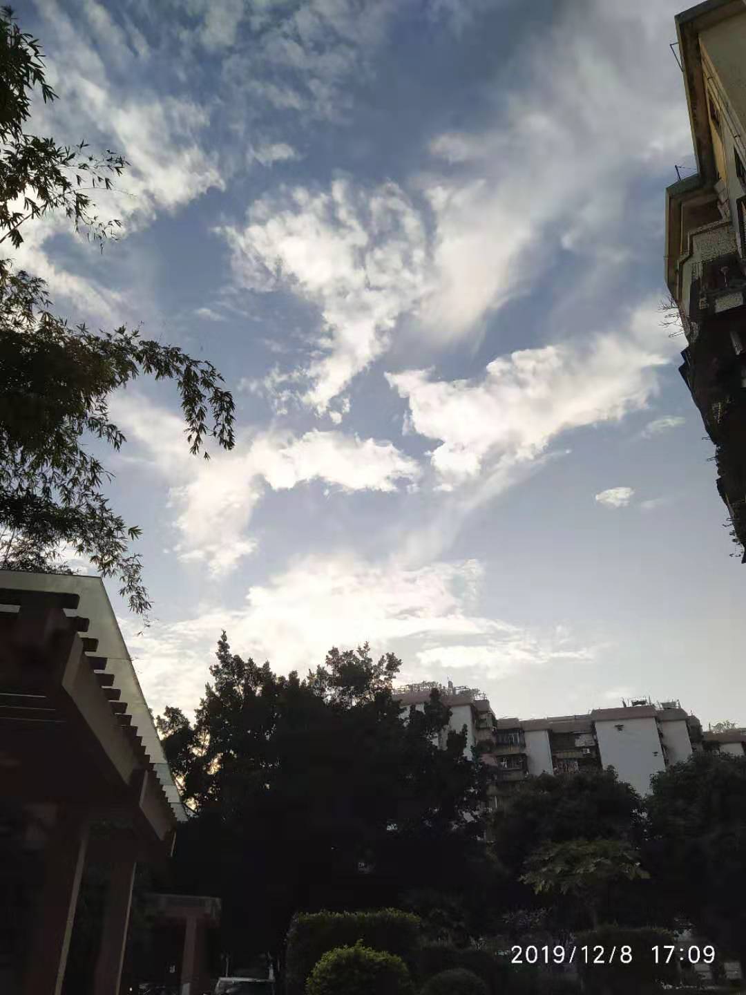 这些云的图片里有什么形象吗