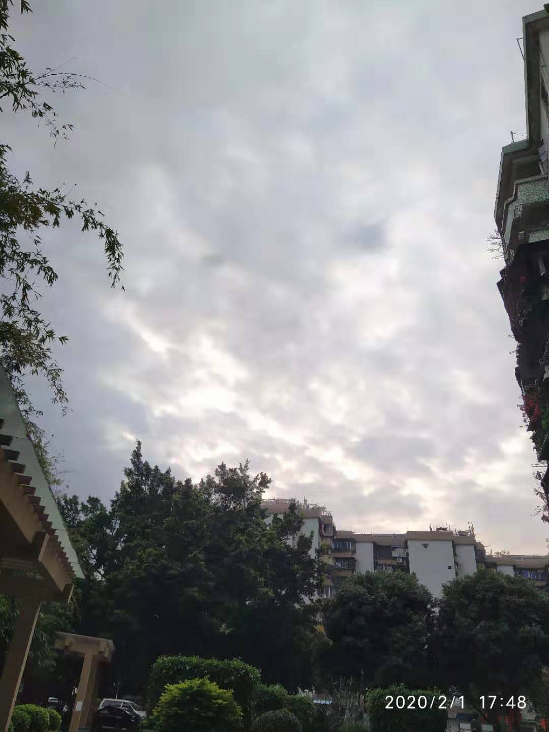 这些云的图片里有什么形象吗