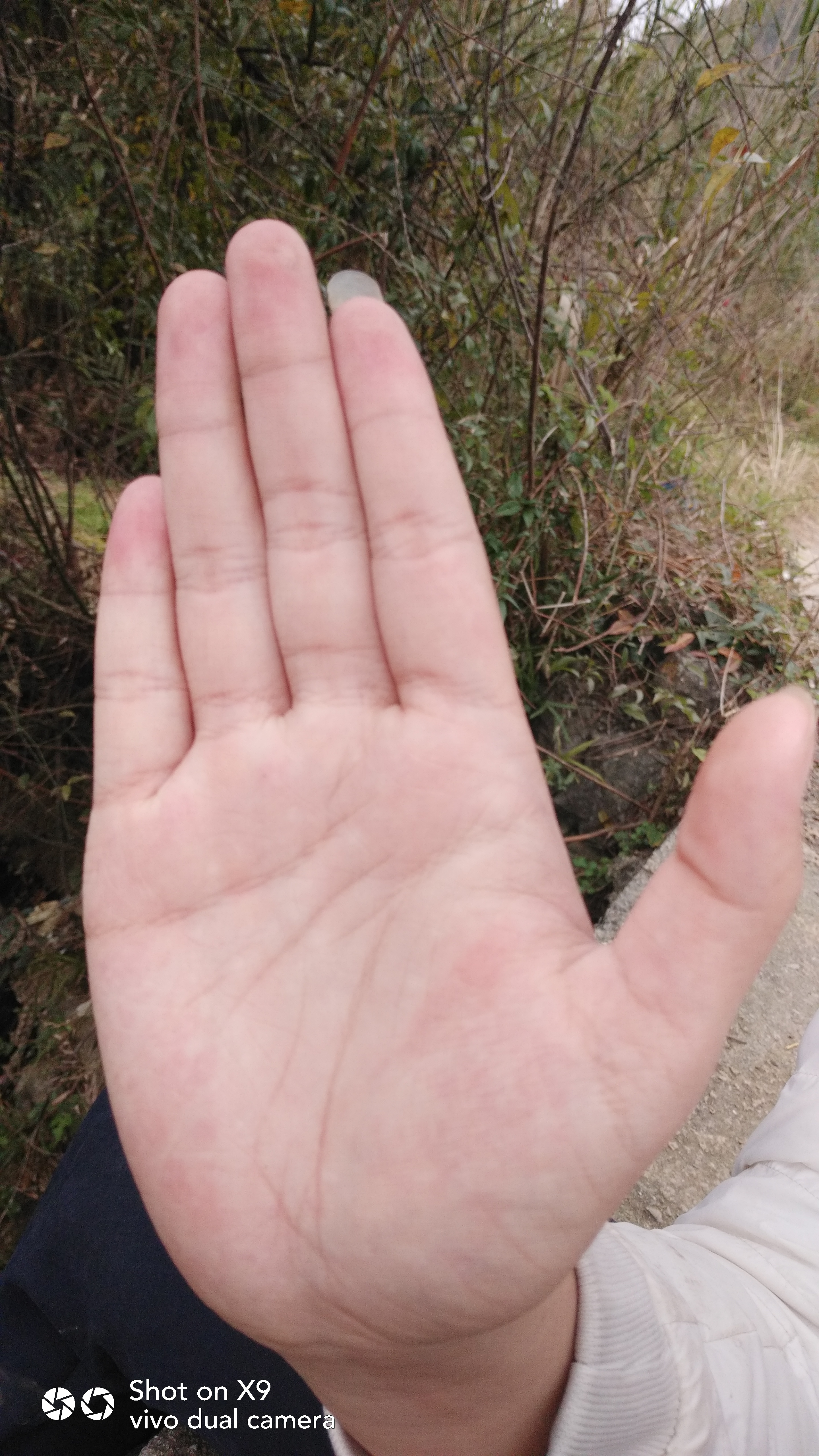 有人会看手像吗？