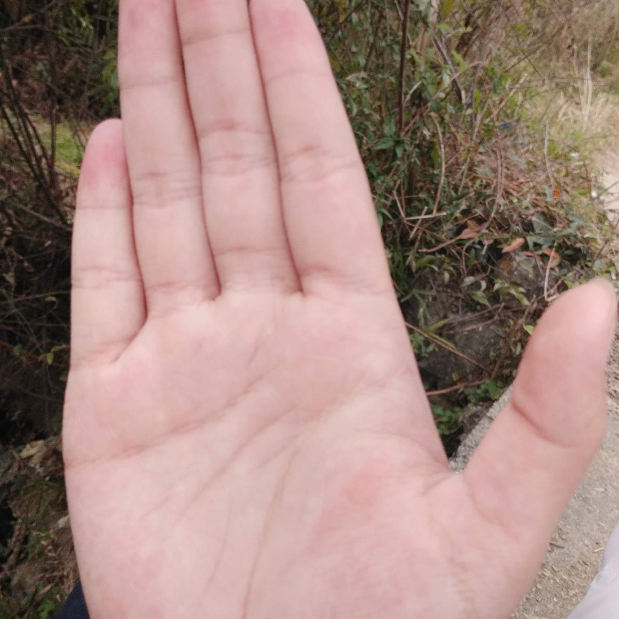 有人会看手像吗？