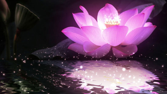 邯郸神灵异事(5):五朵莲花和三个火球